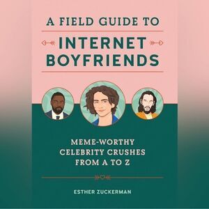 Urban Outfitters  “Field Guide To Internet Boyfriends” Book